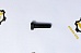 *Болт крепления поддона двигателя Cummins NTA855 8х30 *Болт крепления поддона двигателя Cummins NTA855 8х30