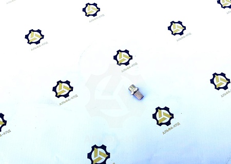 Фильтр пневмоэлектроклапана (резьба 14) Фильтр пневмоэлектроклапана (резьба 14)