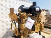 Двигатель Shanghai SC11CB220G2B1 +CB0021 оригинал Двигатель Shanghai SC11CB220G2B1 +CB0021 оригинал